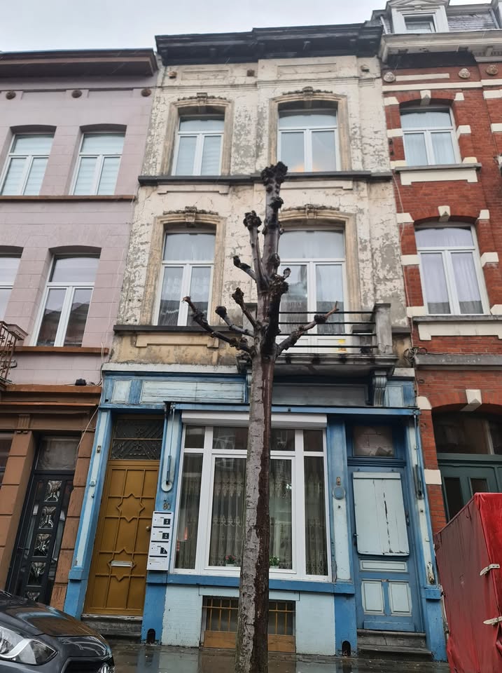 447035948_10229601365072196_5273043985697671924_n